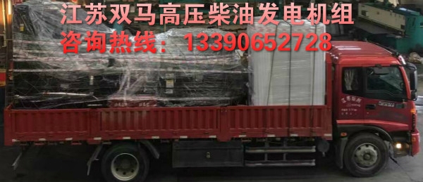 10KV高壓柴油發電機廠家江蘇雙馬