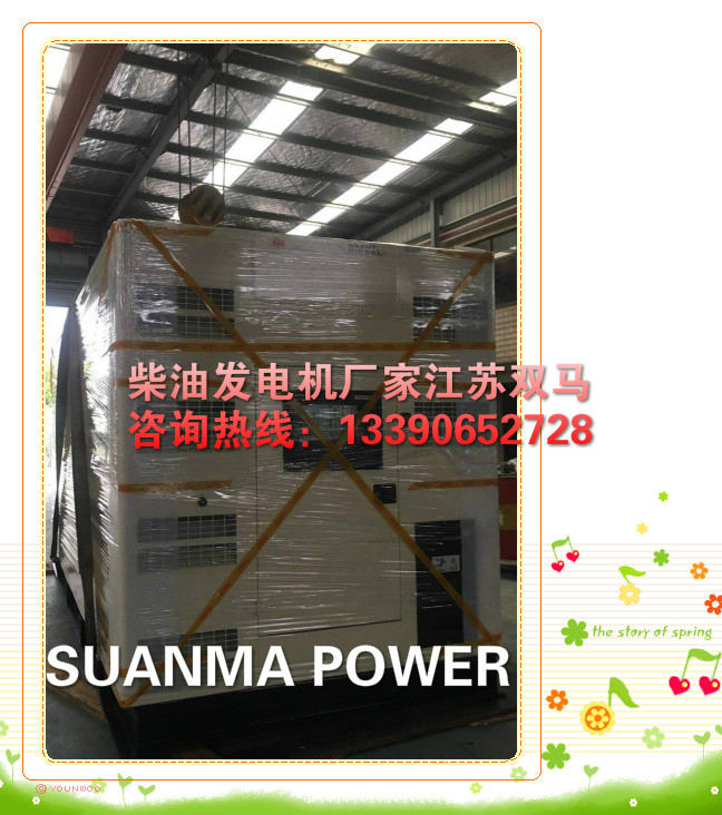出口外貿柴油發電機廠家江蘇雙馬