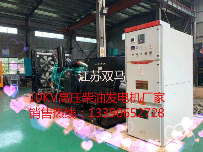 高壓柴油發電機廠家江蘇雙馬