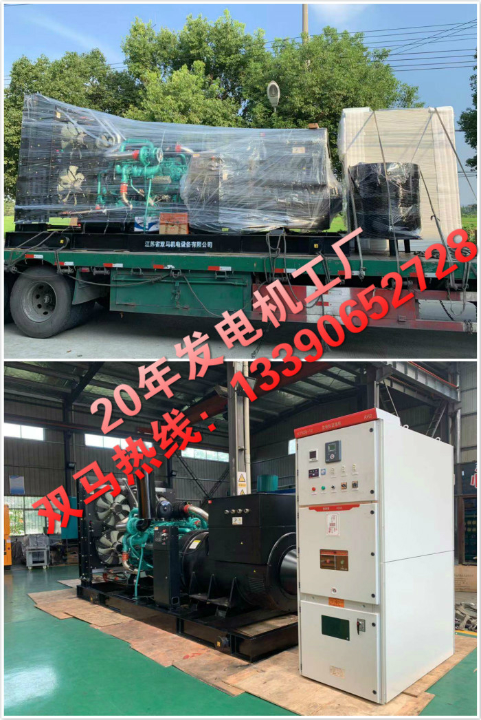 10Kv1000KW高壓機組 雙馬發電機組廠家