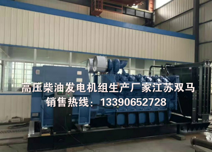 高壓柴油發電機組廠家實拍