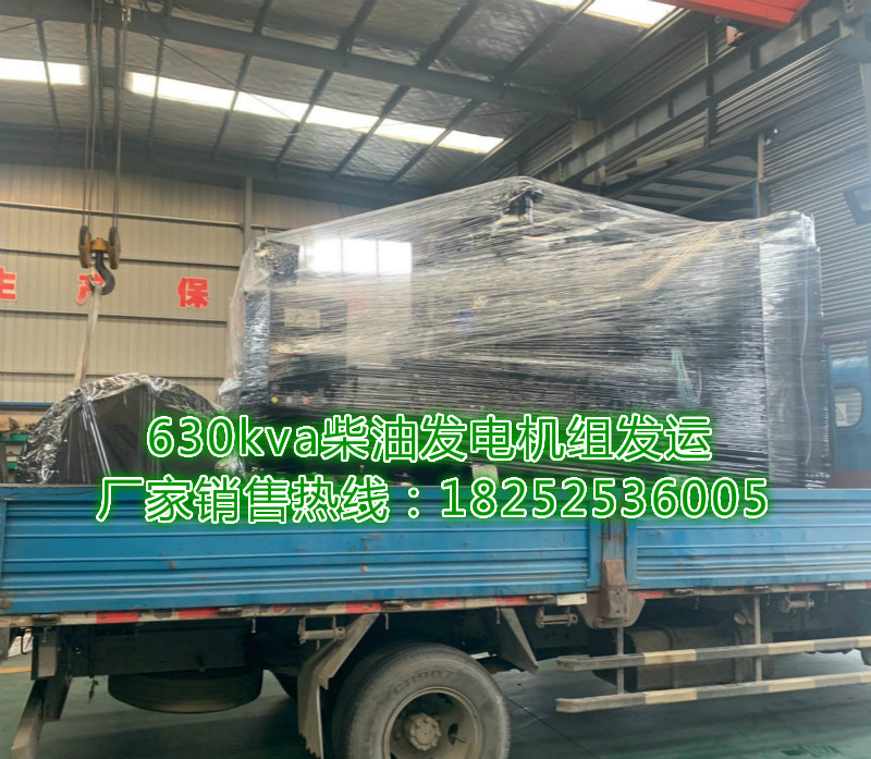 630kva上柴股份柴油發電機組 (1)_meitu_4
